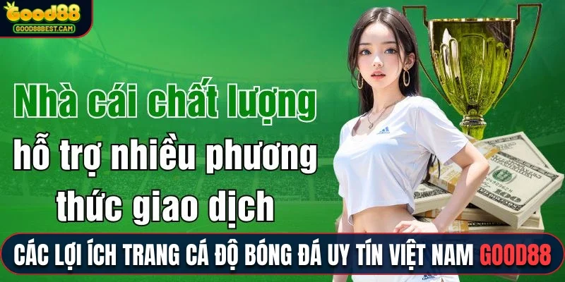 Đa dạng lợi ích trang cá độ bóng đá uy tín Việt Nam Good88 hiện nay