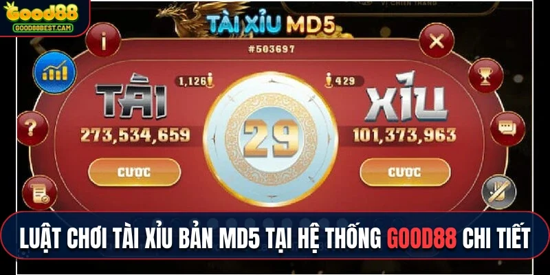 Thành viên mới hãy nắm luật chơi tài xỉu bản MD5 tại hệ thống GOOD88 